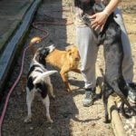 20260407-fotos-ilias-02