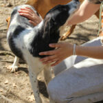20260407-fotos-ilias-05