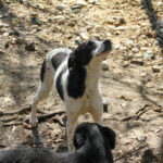 20260407-fotos-ilias-17