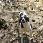20260407-fotos-ilias-18