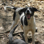20260407-fotos-ilias-21