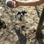 20260407-fotos-ilias-23