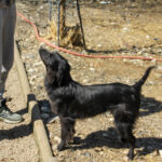 20260407-fotos-kalea-3