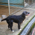 20260407-fotos-kalina-1