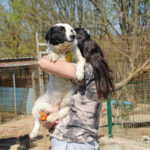 20260407-fotos-pupin-05