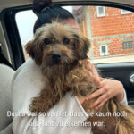 20260419-news-dusha-2