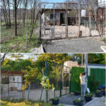 20260604-news-neverland-neuer-eingang-2
