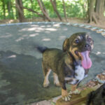 20260623-fotos-chiquita-4
