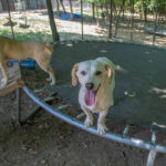 20260623-fotos-skipper-06