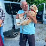 20260703-news-trapo-ankunft-03
