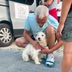20260703-news-trapo-ankunft-19