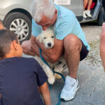 20260703-news-trapo-ankunft-21