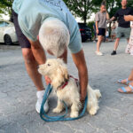 20260703-news-trapo-ankunft-22