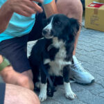 20260703-news-trapo-ankunft-36