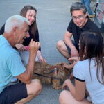 20260703-news-trapo-ankunft-39