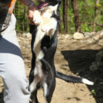 20260407-fotos-eni-08