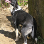 20260407-fotos-eni-09