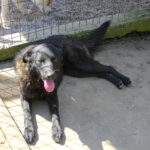 20260407-fotos-ninoo-04