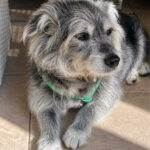 20260524-fotos-buddy-01