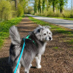 20260524-fotos-buddy-07