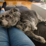 20260524-fotos-buddy-10