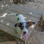 20260623-fotos-bevan-1