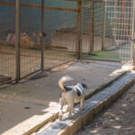 20260623-fotos-bevan-3