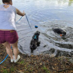 20260708-fotos-buddy-1