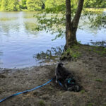 20260708-fotos-buddy-5