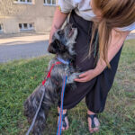 20260802-news-zuhause-28