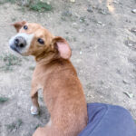 20260803-fotos-bark-3