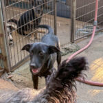 20260803-fotos-grady-3