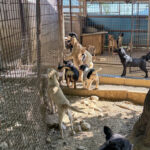 20260803-fotos-grady-4