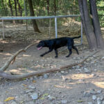 20260803-fotos-grady-6
