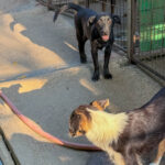 20260803-fotos-grady-7