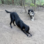 20260803-fotos-irma-4