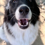 20260803-fotos-ledo-4