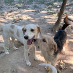 20260803-fotos-wolke-4