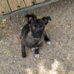20260709-fotos-chiki-12