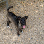 20260709-fotos-chiki-14