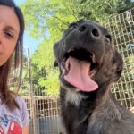 20260730-fotos-chiki-1