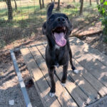 20260730-fotos-chiki-7