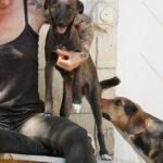 20260815-fotos-chiki-01
