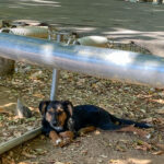 20260815–fotos–aris-2