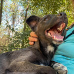 20260816-fotos-chiki-09