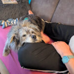 20260830-fotos-buddy-6